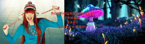 эйфоретик Магас