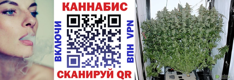 OMG зеркало  Таштагол  Конопля Amnesia 